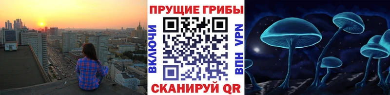 Галлюциногенные грибы мухоморы  как найти закладки  Кыштым 